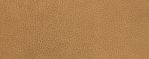 Grain Camel
